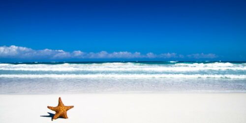 7 White Sand Beaches You Should Check Out