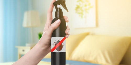 Control Bed Bugs with Effective Sprays