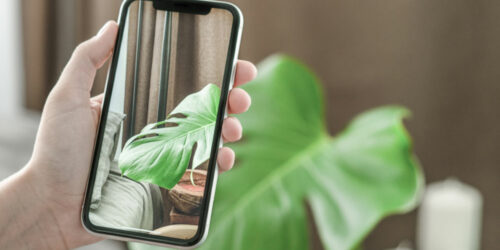 Here’s what you need to know about the latest iPhones