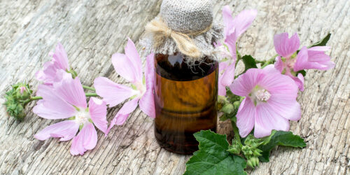 Managing psoriasis flare-ups – Treatment and medications