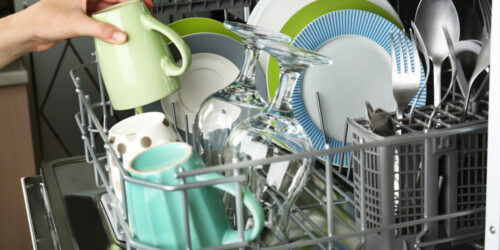 Tips to Keep Your Dishwasher Free from Fungi and Yeast