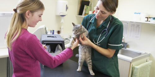 Understanding Vaccination Coverage In Pet Insurance Policies