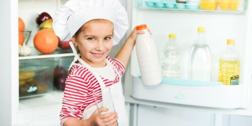 Why do we need energy efficient refrigerators