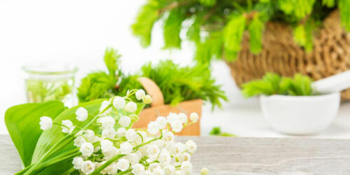 6 Natural Ways to Treat an Enlarged Prostate