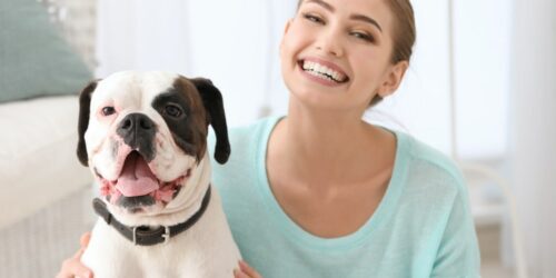 A 3-step guide to certifying your emotional support dog