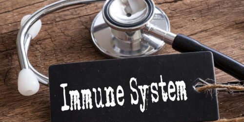 All you need to know about the human immune system