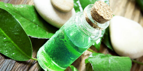 Best Yeast Infection Remedies That Actually Work