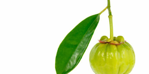 Garcinia – A simple fruit with numerous health benefits