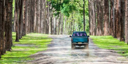 Which Dodge Ram Variant To Buy