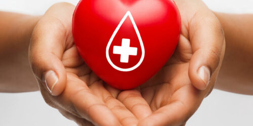 Important Things to Know About Plasma Donation