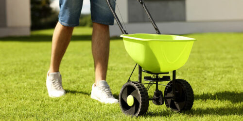 8 Best Lawn Fertilizers for Spring in 2024