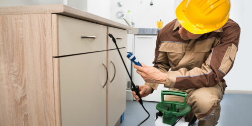 Pest Control Software – Benefits, Tips, and Top Brands