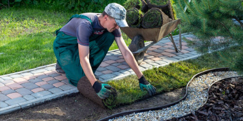 Landscaping Services – Types, Benefits, and Tips to Consider
